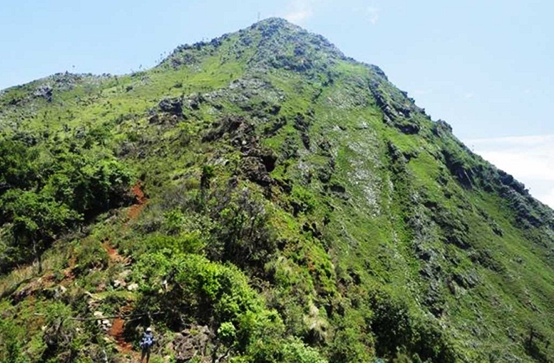 पदयात्राको गन्तव्य बन्दै देवचुली डाँडा